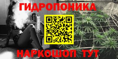 дживик Кингисепп
