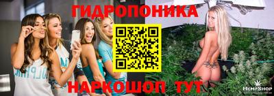 дживик Кингисепп