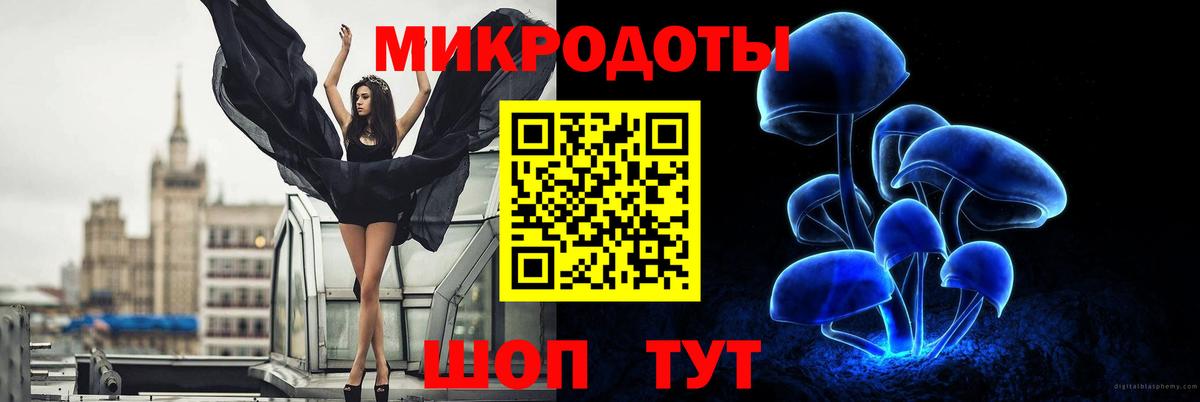 Псилоцибиновые грибы Psilocybe  Вход с VPN  Якутск 